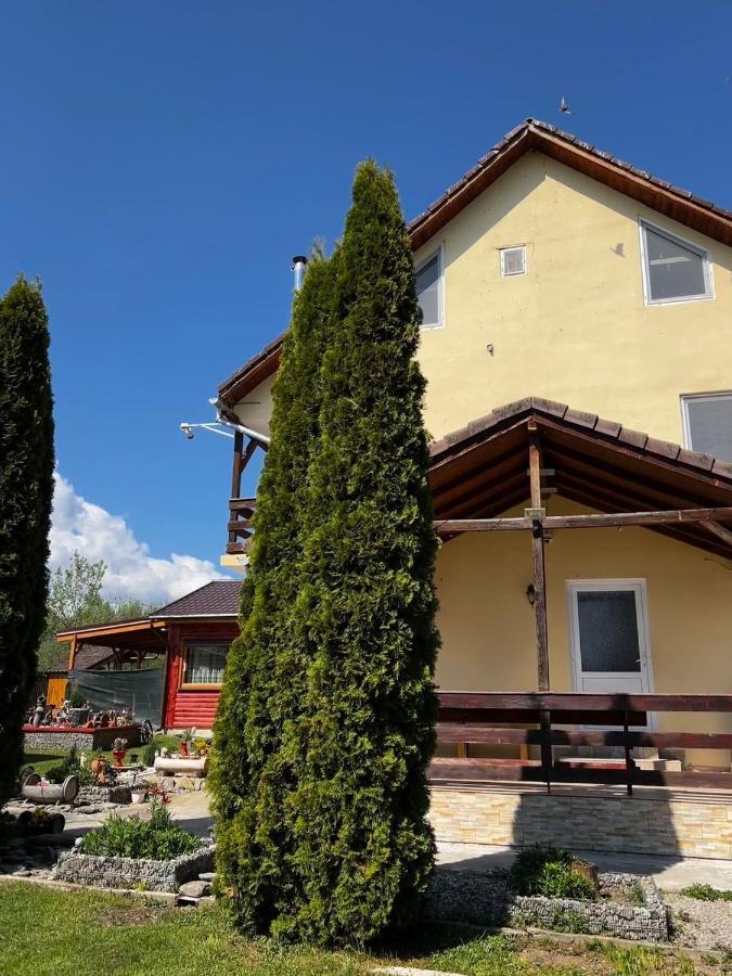 Pensiunea Colt De Rai, Vistisoara Statiunea Climaterica Sambata Esterno foto