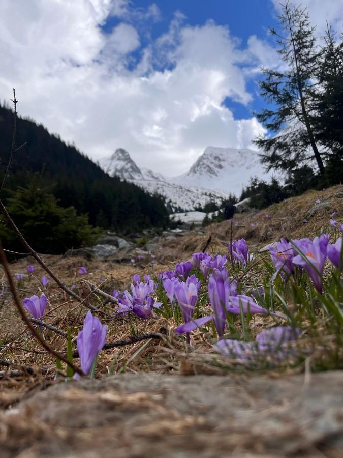 Pensiunea Colt De Rai, Vistisoara Statiunea Climaterica Sambata Esterno foto