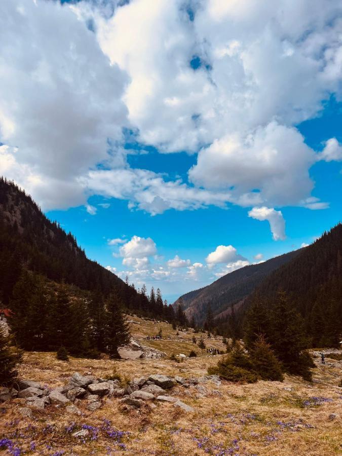 Pensiunea Colt De Rai, Vistisoara Statiunea Climaterica Sambata Esterno foto