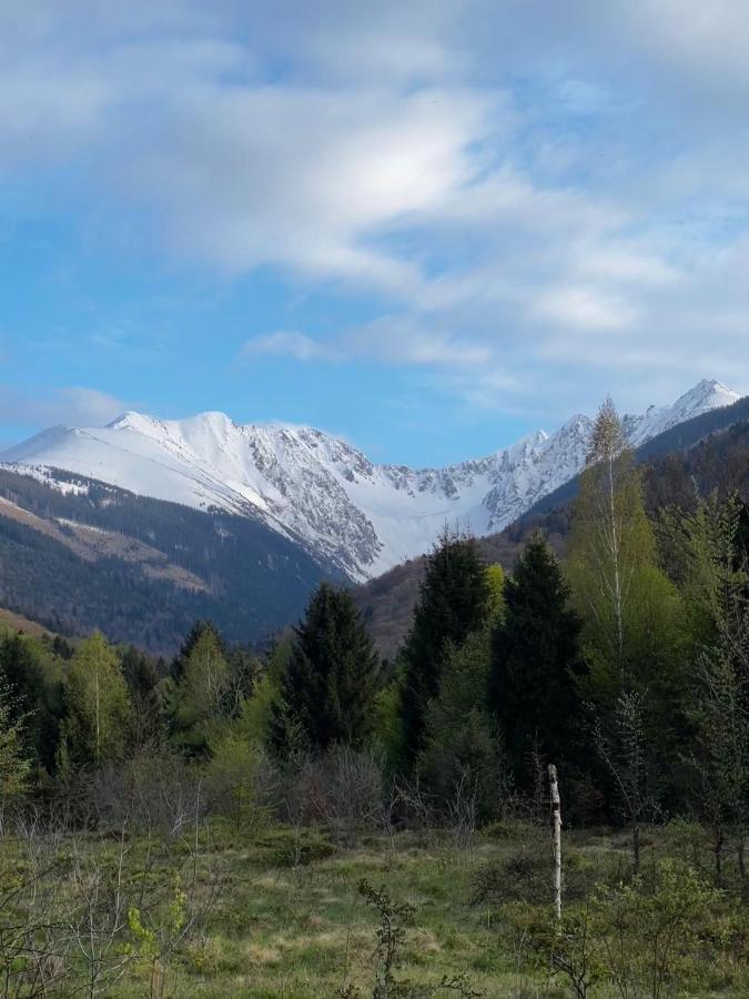 Pensiunea Colt De Rai, Vistisoara Statiunea Climaterica Sambata Esterno foto